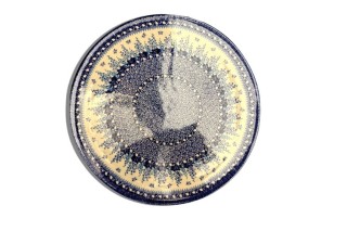 D53 Bunzlau Pizzabord 3277X 33 cm